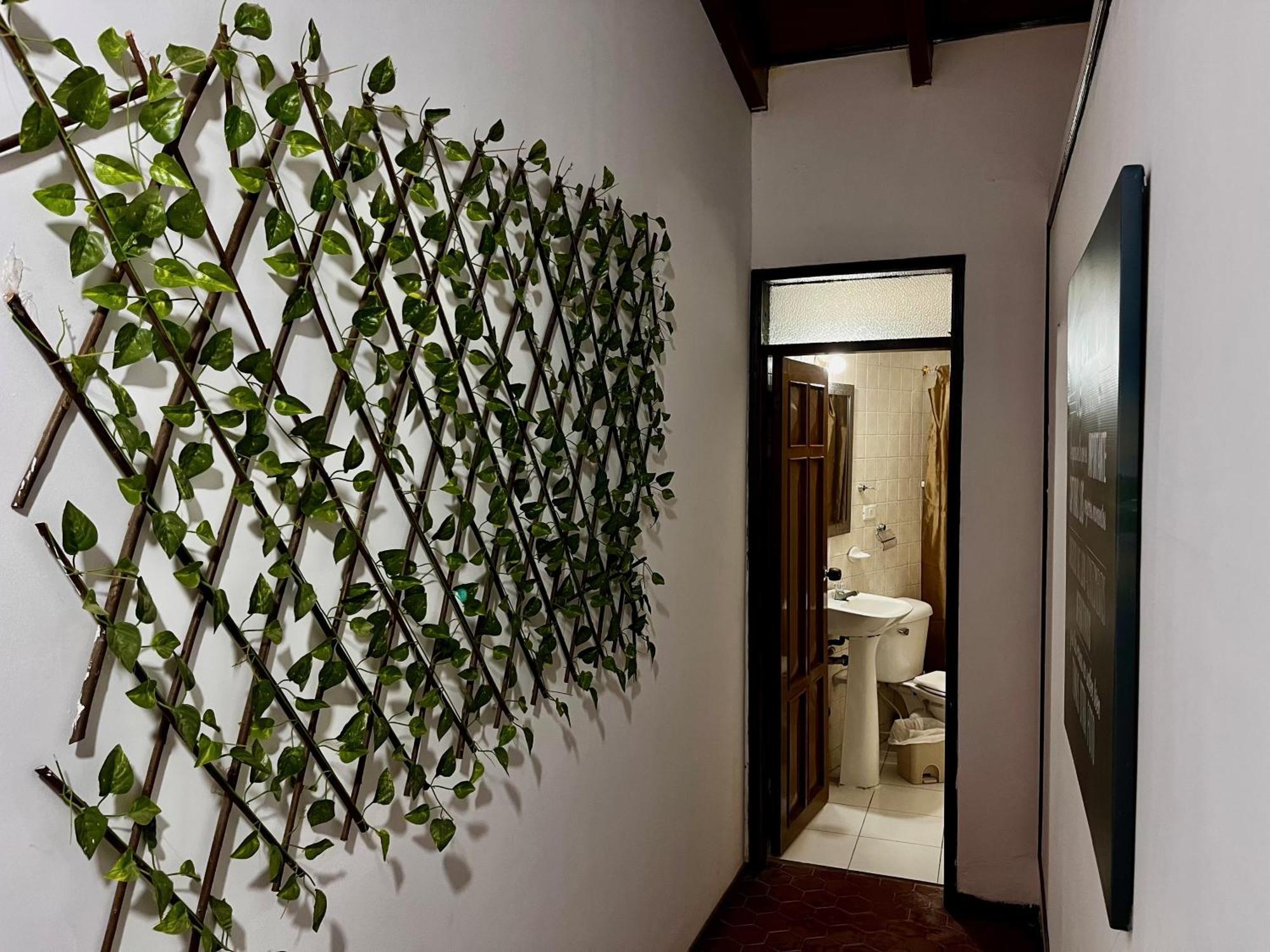 The Chill In Mansion Hostel Santa Marta Luaran gambar