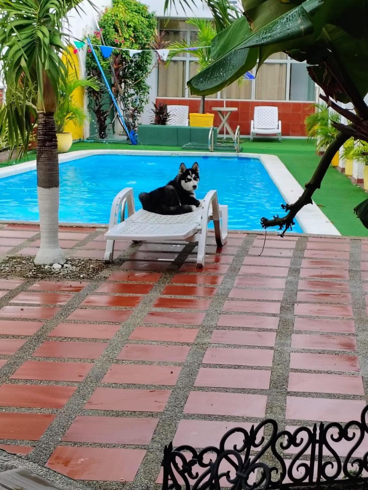 The Chill In Mansion Hostel Santa Marta Luaran gambar